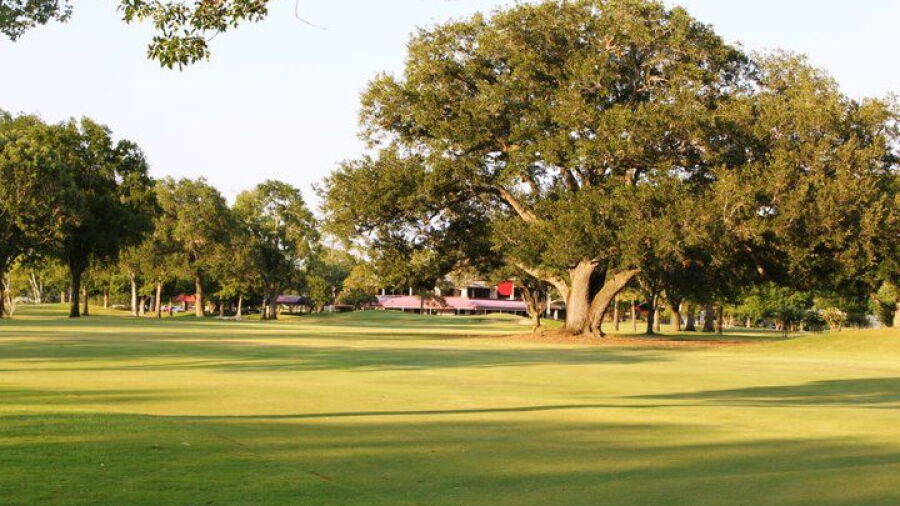 Pine Forest CC