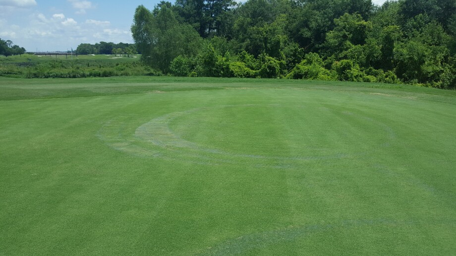 Golf Club of Houston - damage