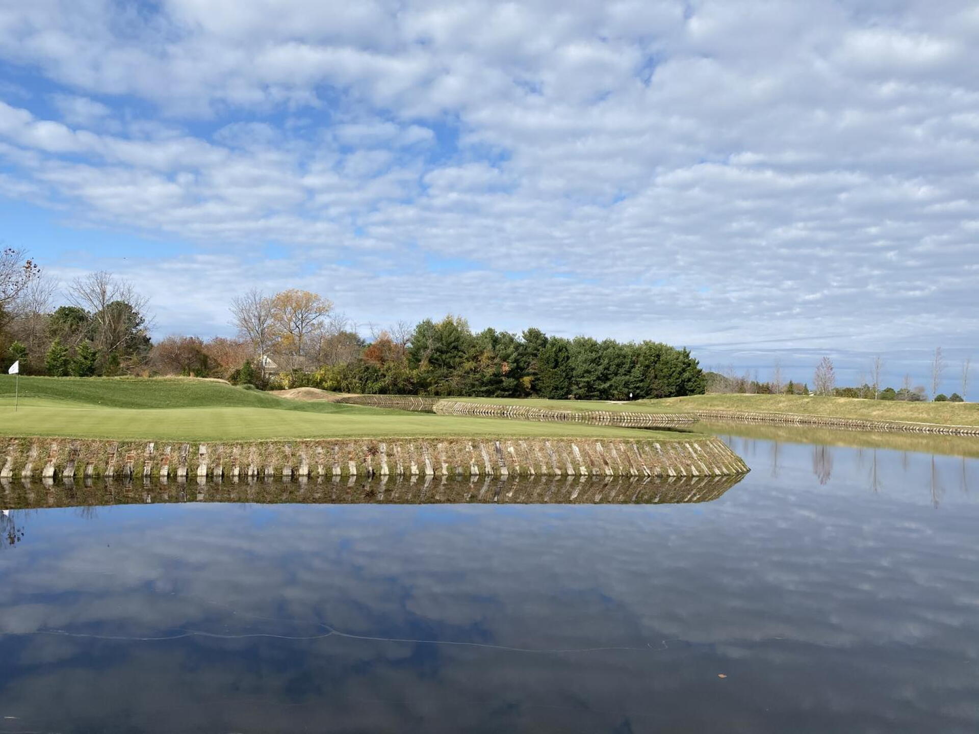 #16 and #17 (Photo submitted by Waltmoddison on 11/28/2020)