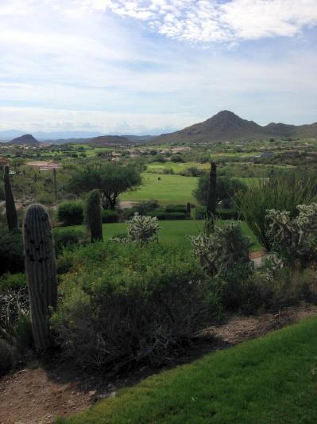 (Photo submitted by Curtis1388379 on 09/22/2014)