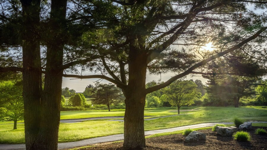 Laytonsville GC: #16
