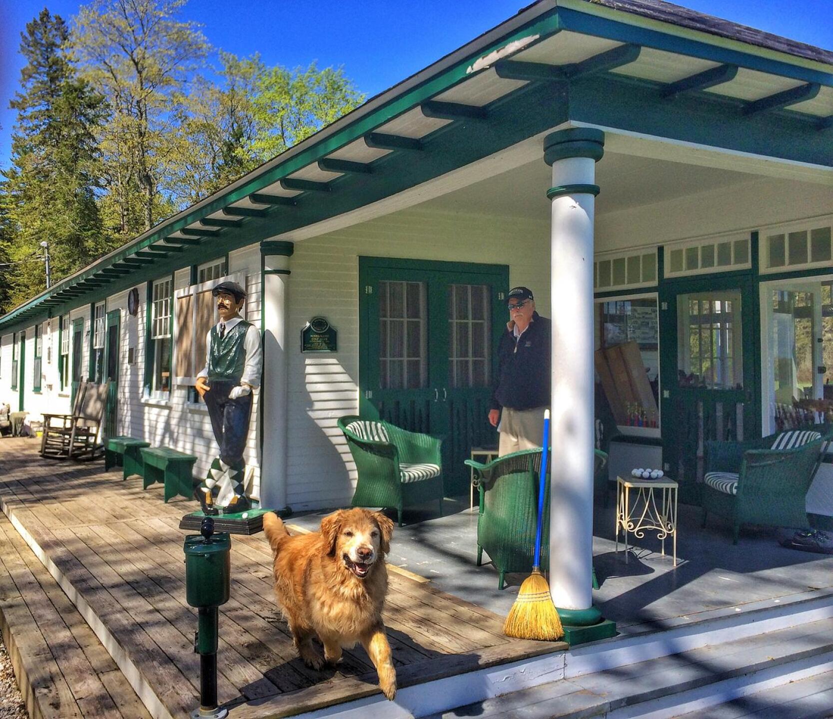 Obi wan the dog at the clubhouse (Photo submitted by BrandonTuckerGA on 06/01/2017)