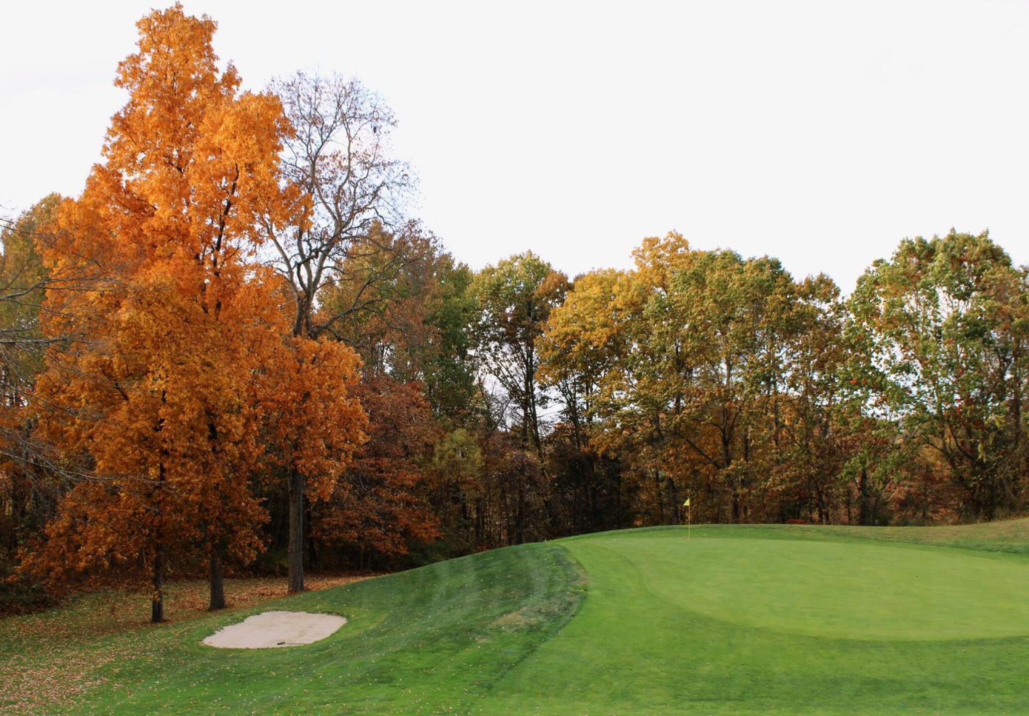 The fourteenth green features a massive drop-off to the left, an unenviable place from which to pitch. (Photo submitted by AptlyLinked on 10/24/2024)