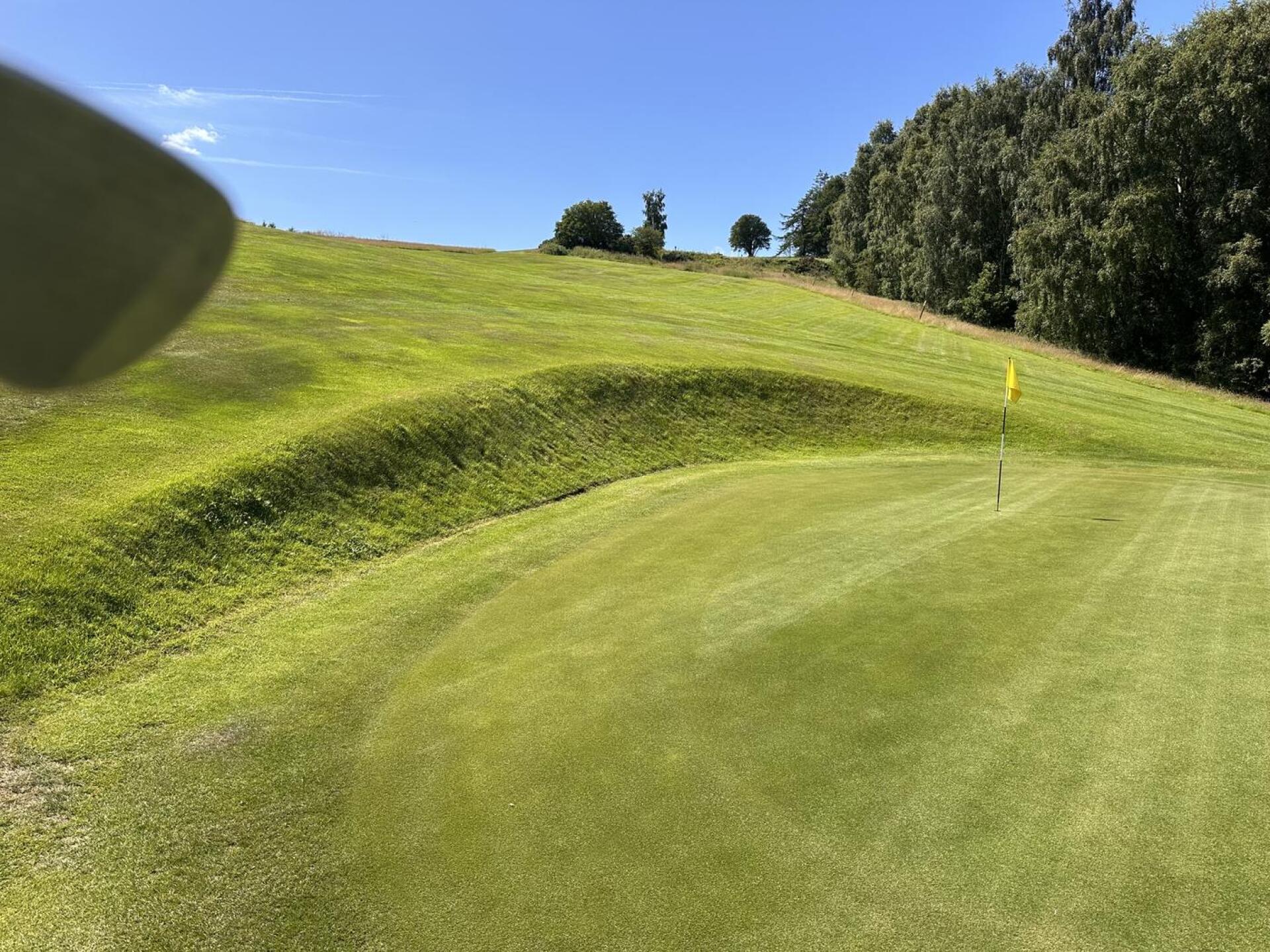 (Photo submitted by u314162986105 on 07/14/2025)