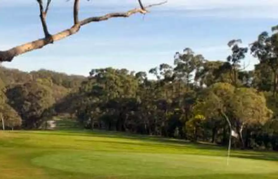 Beaconhills CGC - Hills: #12