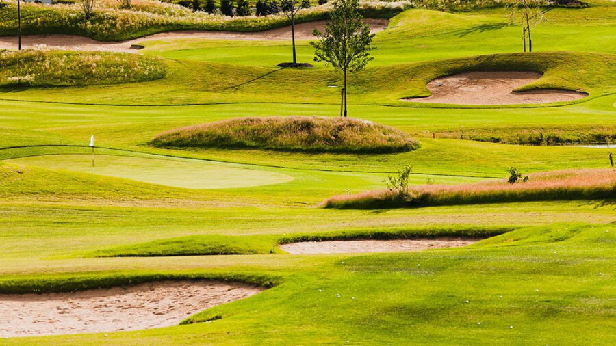 Koelner GC - Short