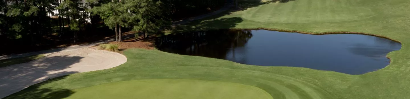 Tradition GC: #14