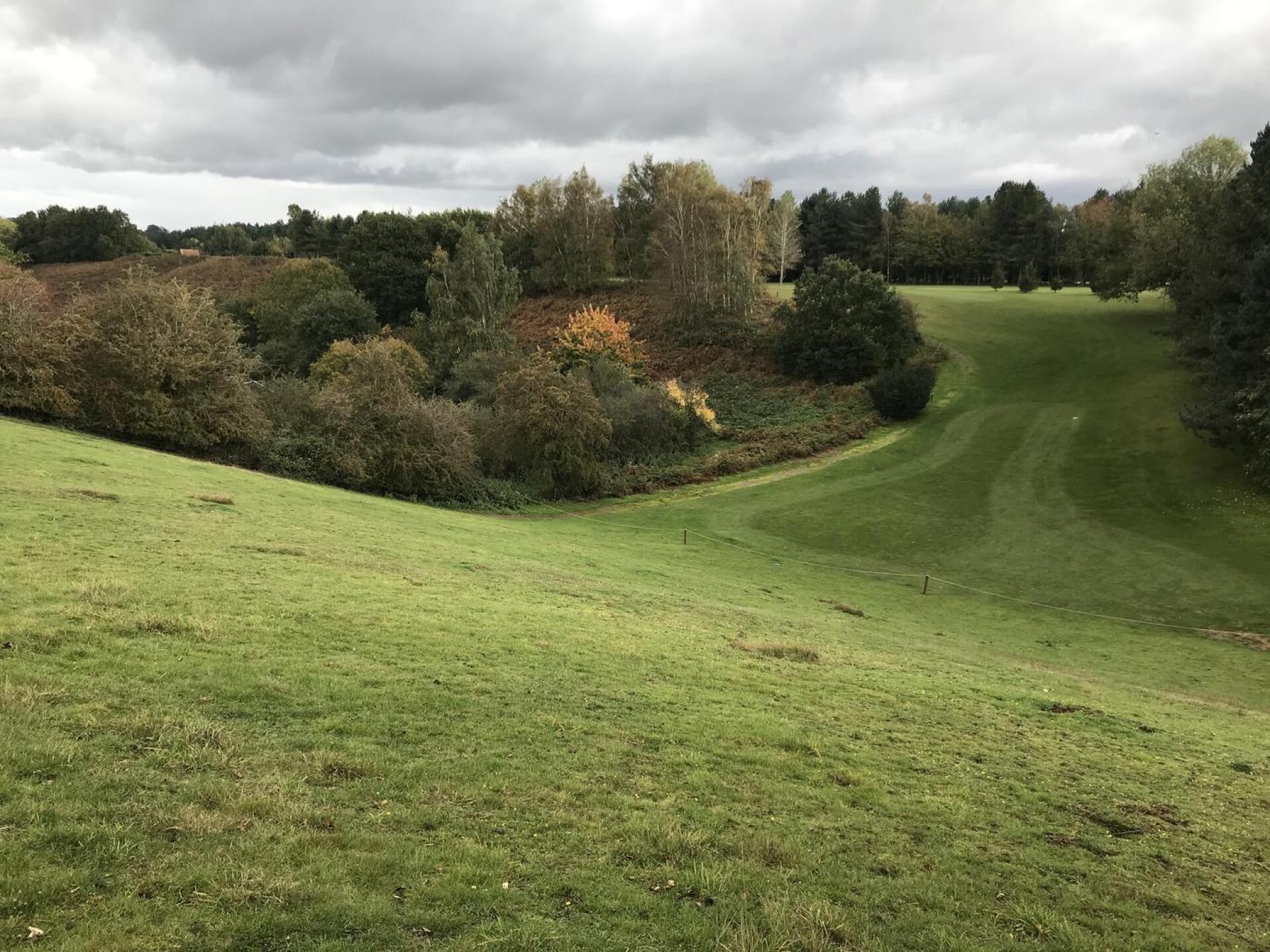 (Photo submitted by t1731232465 on 10/17/2020)