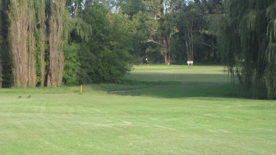 Queenstown GC