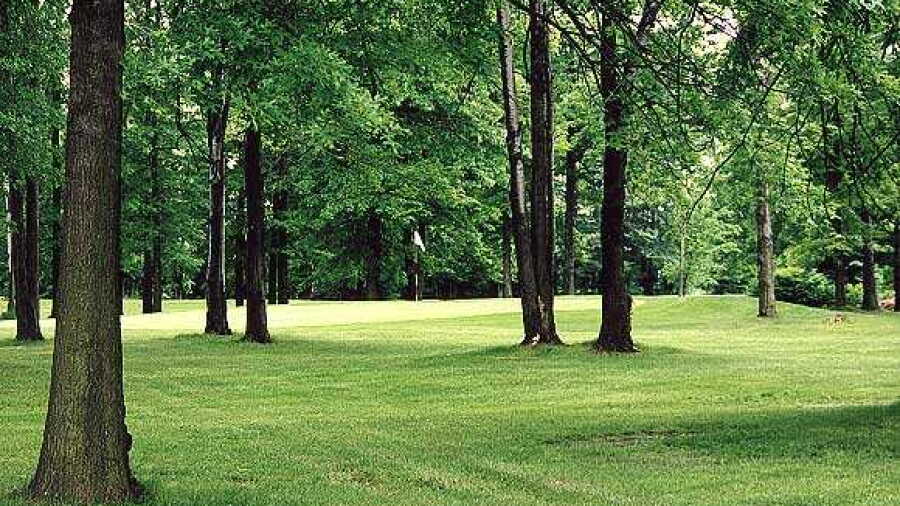 Emerald Woods GC