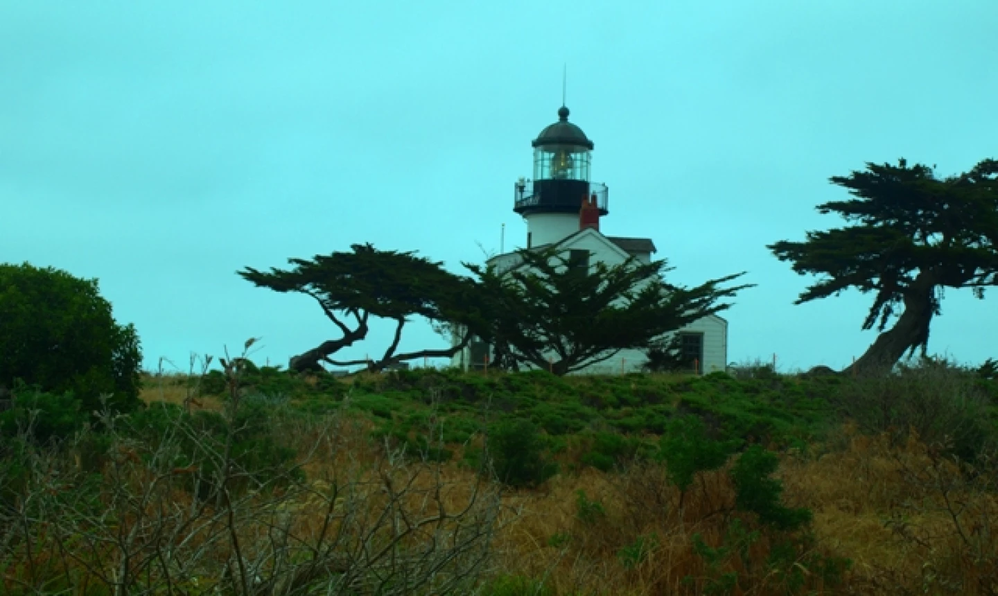 Pacific Grove Golf Links - Point Pinos Lighthouse