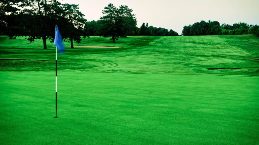 Newport CC