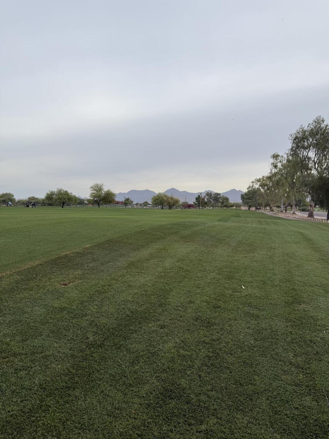 (Photo submitted by patd0329 on 04/01/2026)