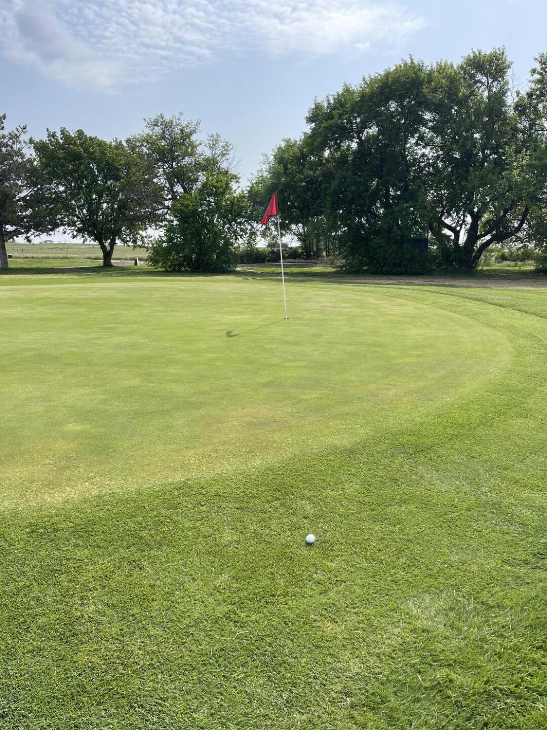 (Photo submitted by Mchael7235438 on 05/23/2023)