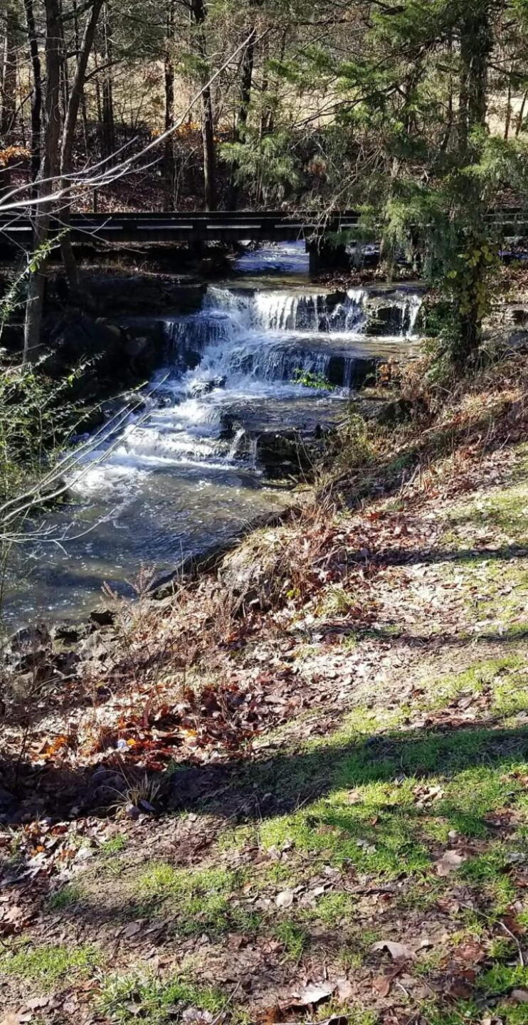 Beautiful water features (Photo submitted by Brand21 on 12/01/2019)