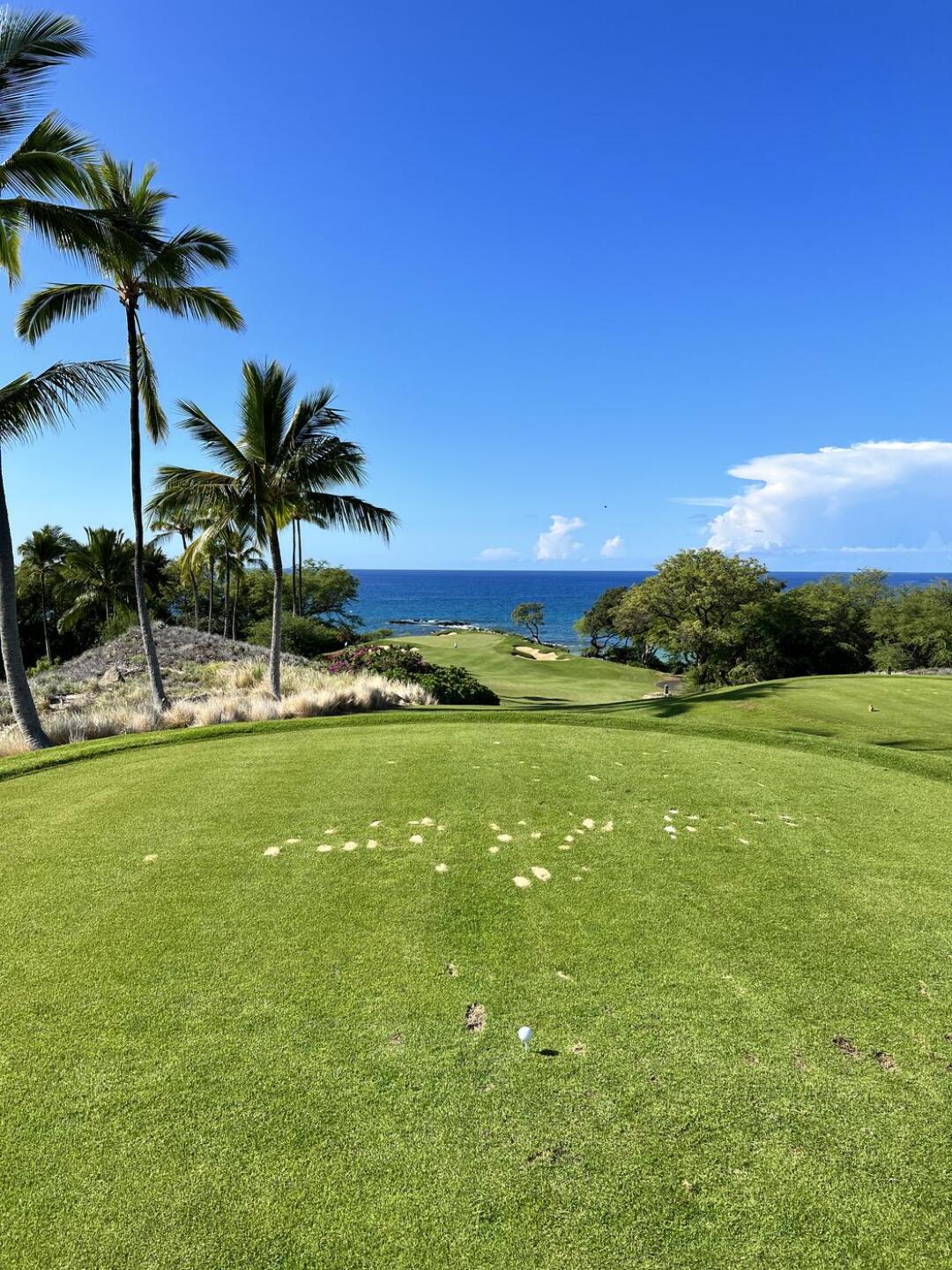 (Photo submitted by uIOSF3652IO on 01/07/2022)