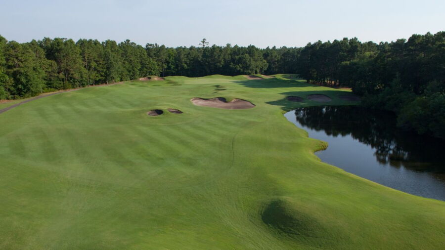 Wild Wing Plantation - Avocet: #14