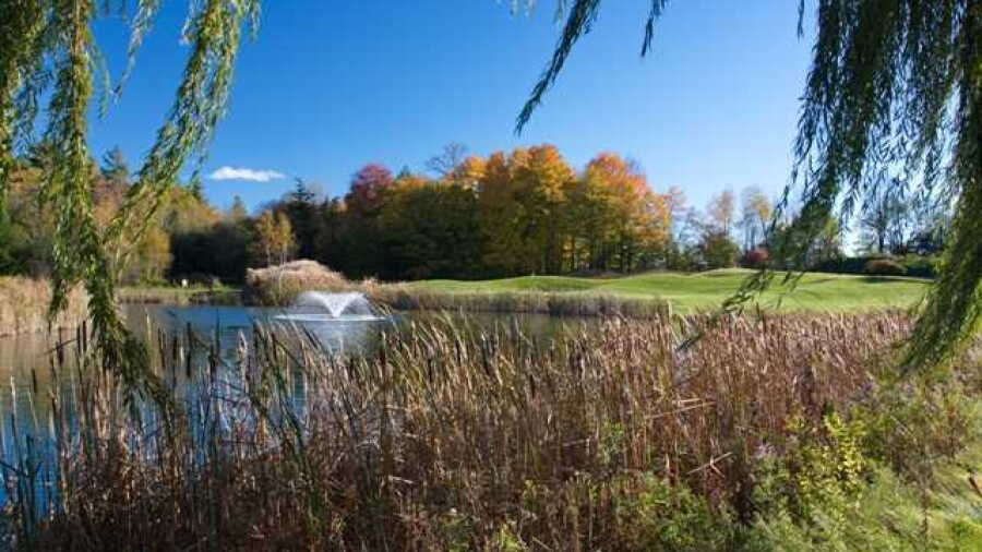 Meadowbrook GCC - Championship
