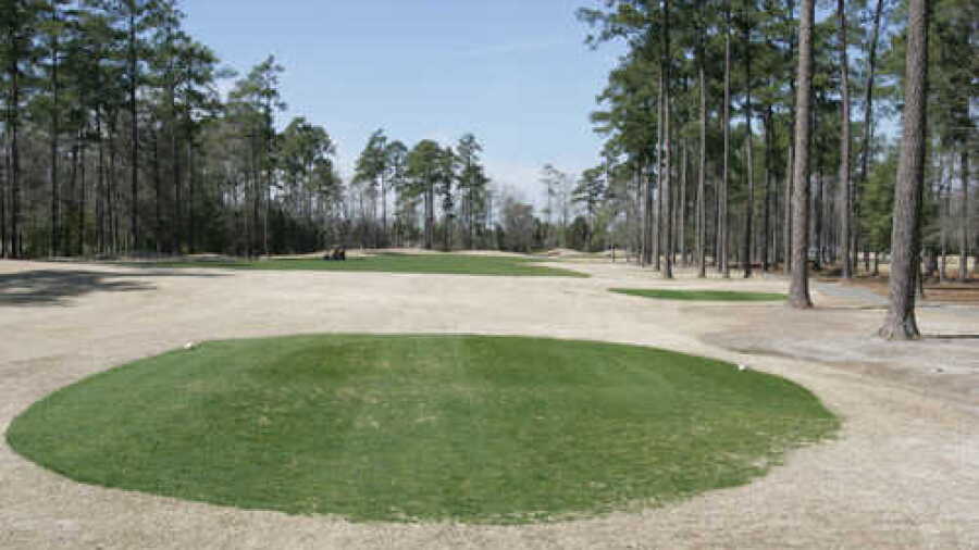 Traces GC - Meadows: #1
