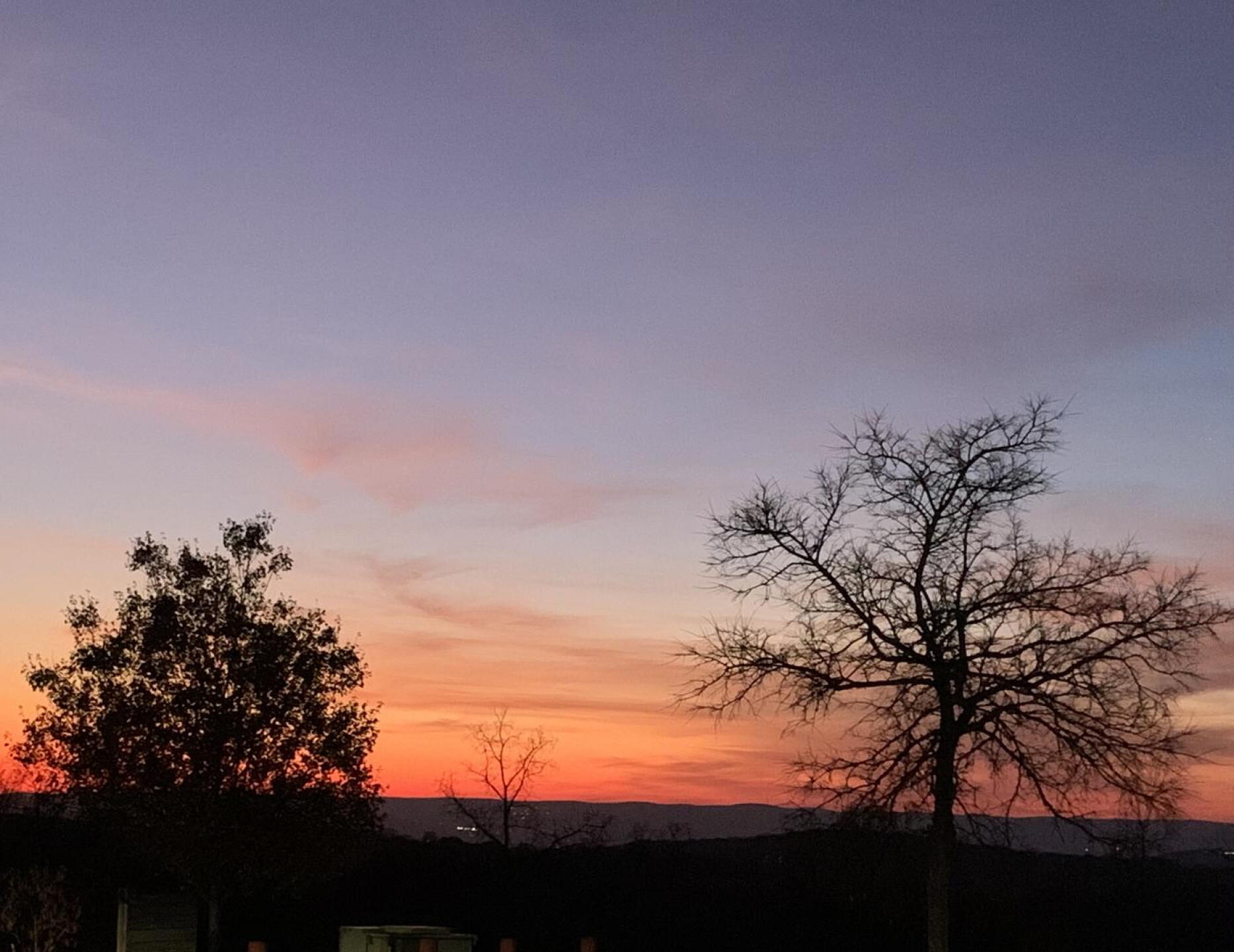(Photo submitted by u314160778407 on 11/07/2020)
