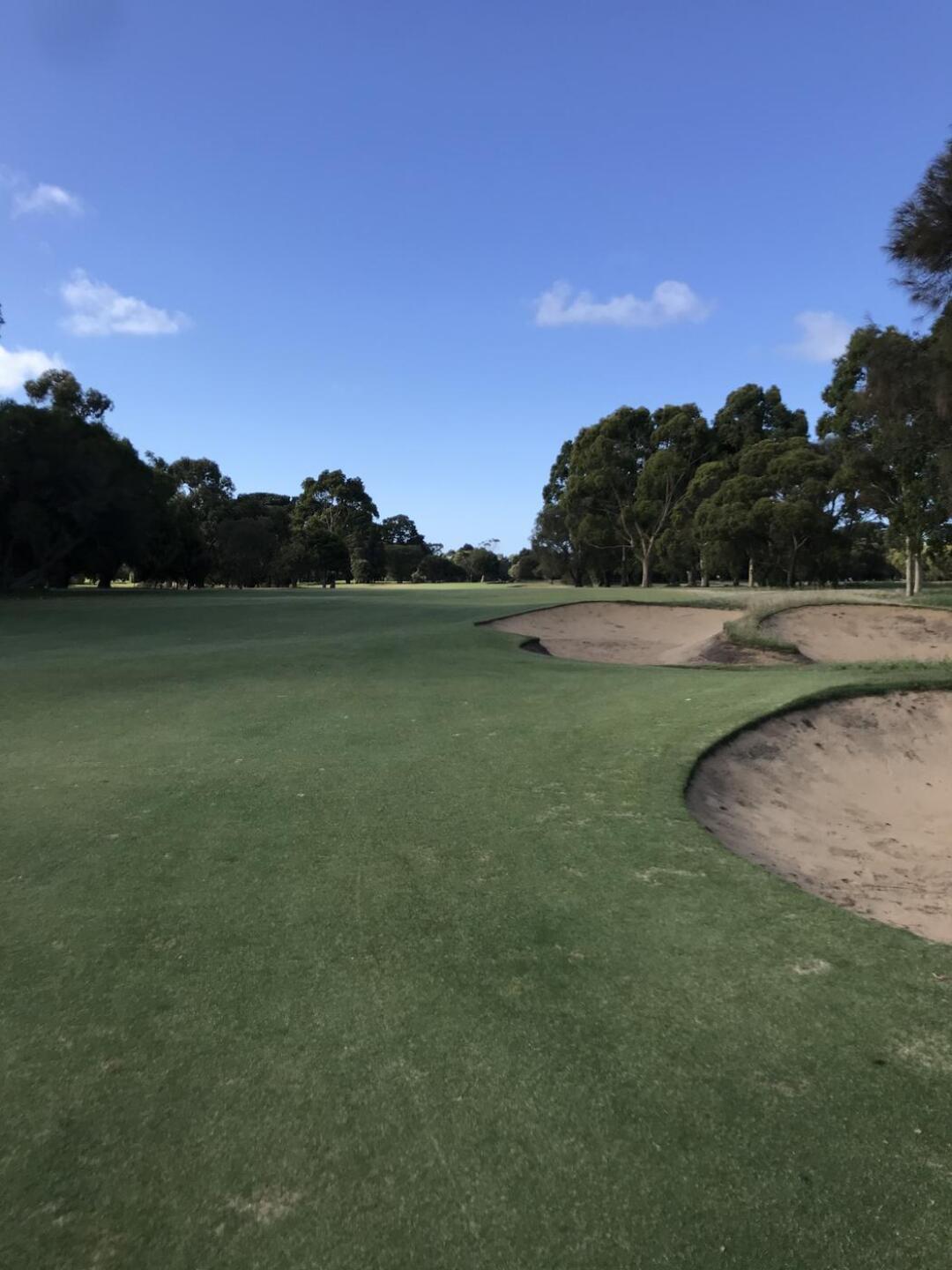 (Photo submitted by theglasseyegolfer on 10/24/2021)