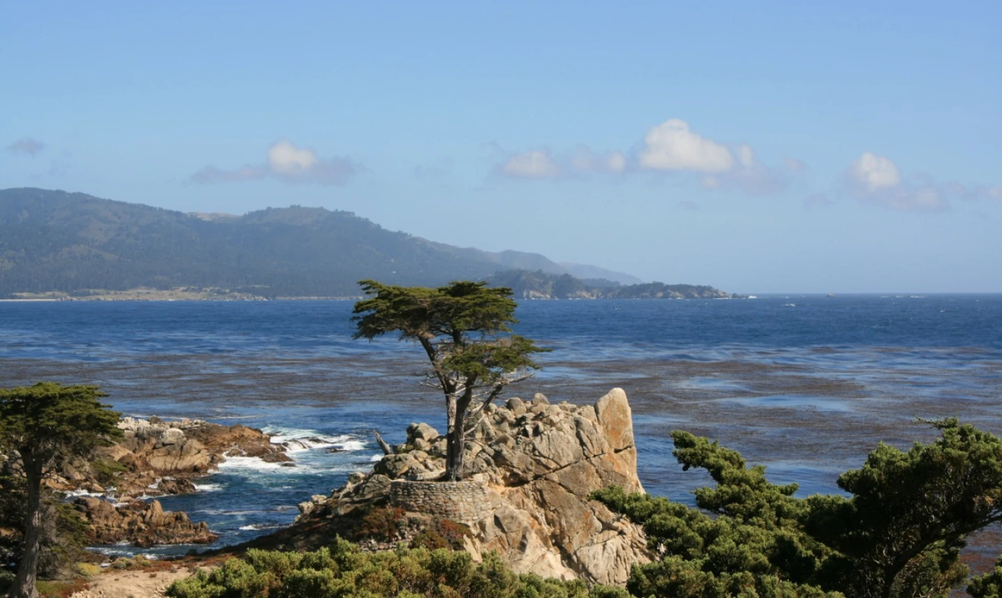 Lone Cypress - 17-Mile Drive