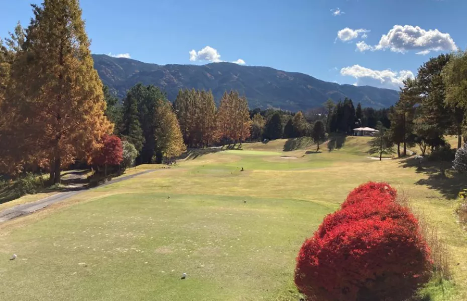 Enakyo CC - Bamboo: #4