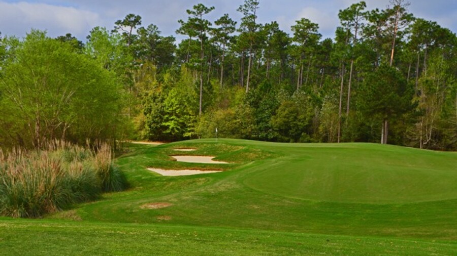 Grand Bear G.C. - 16th