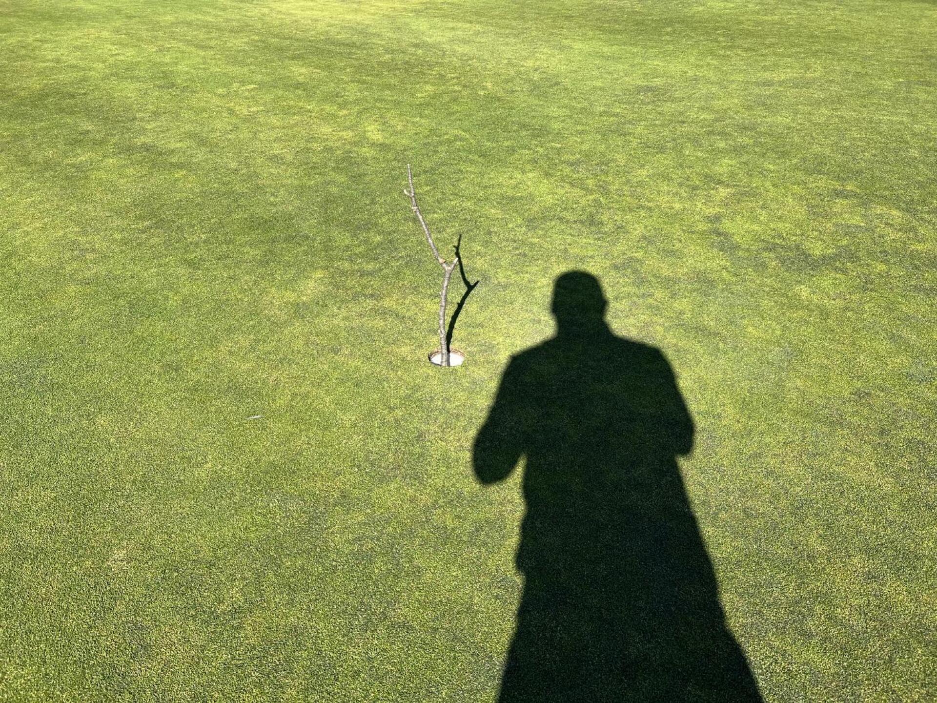 (Photo submitted by Zmancini on 05/07/2023)