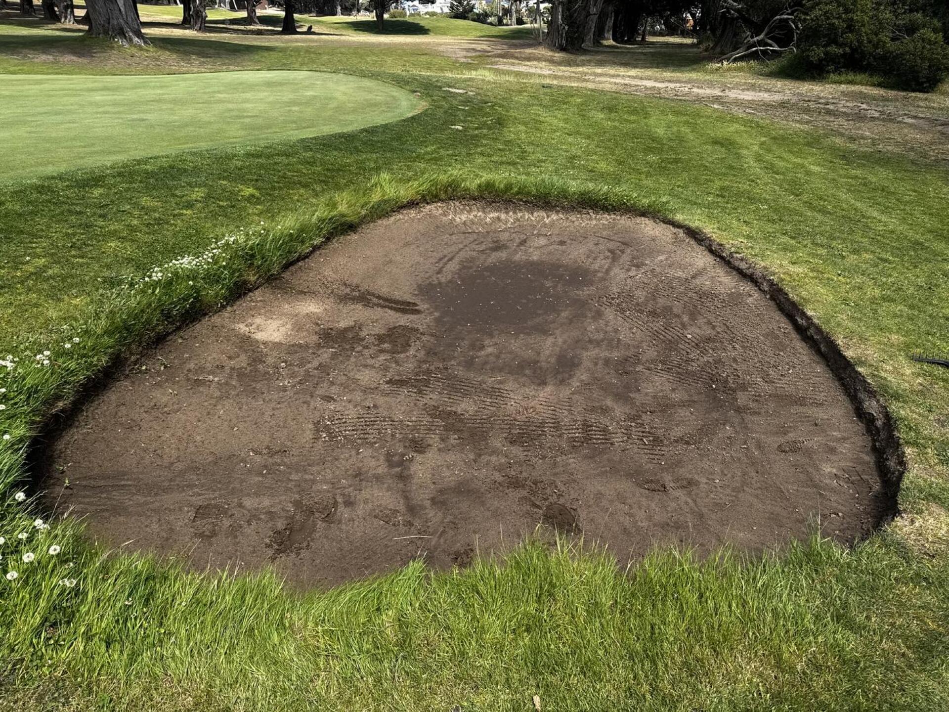 (Photo submitted by aadyn on 06/07/2025)