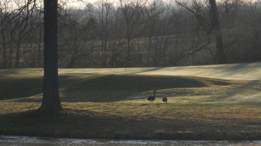 Twin Run GC