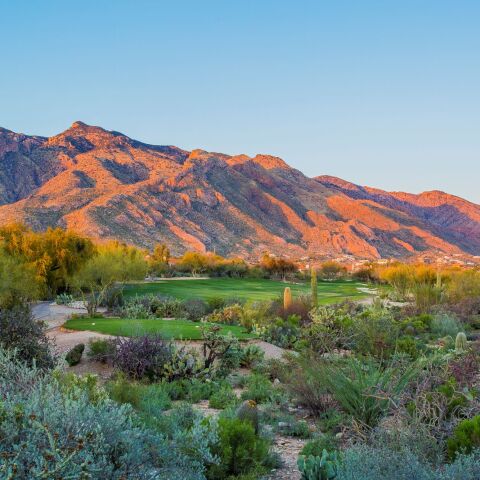 La Paloma Country Club