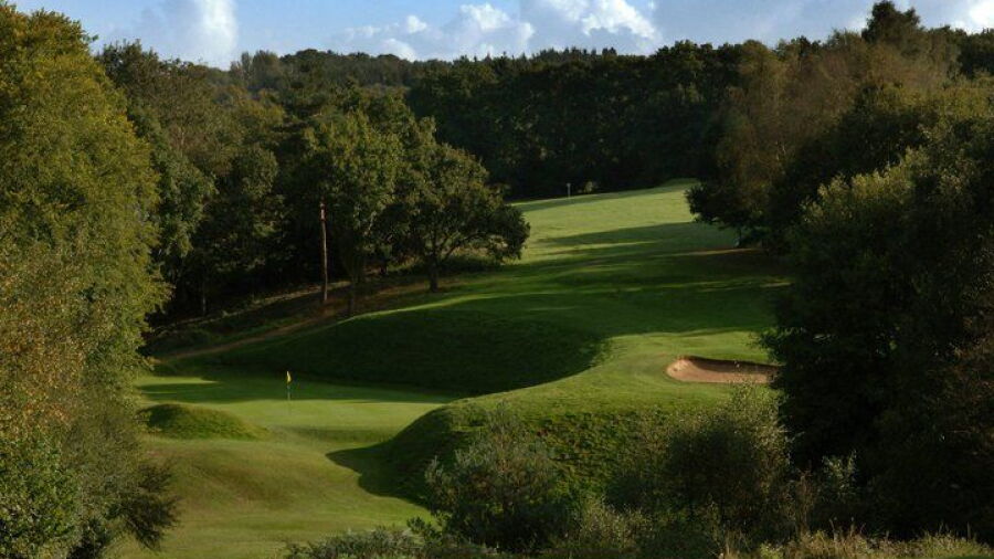Mannings Heath GC - Waterfall