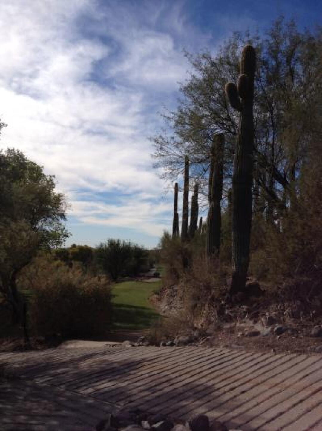 (Photo submitted by Clarkcasa on 12/06/2012)