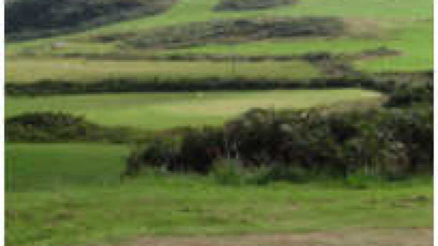 Isle of Gigha Golf Club - 2nd Tee