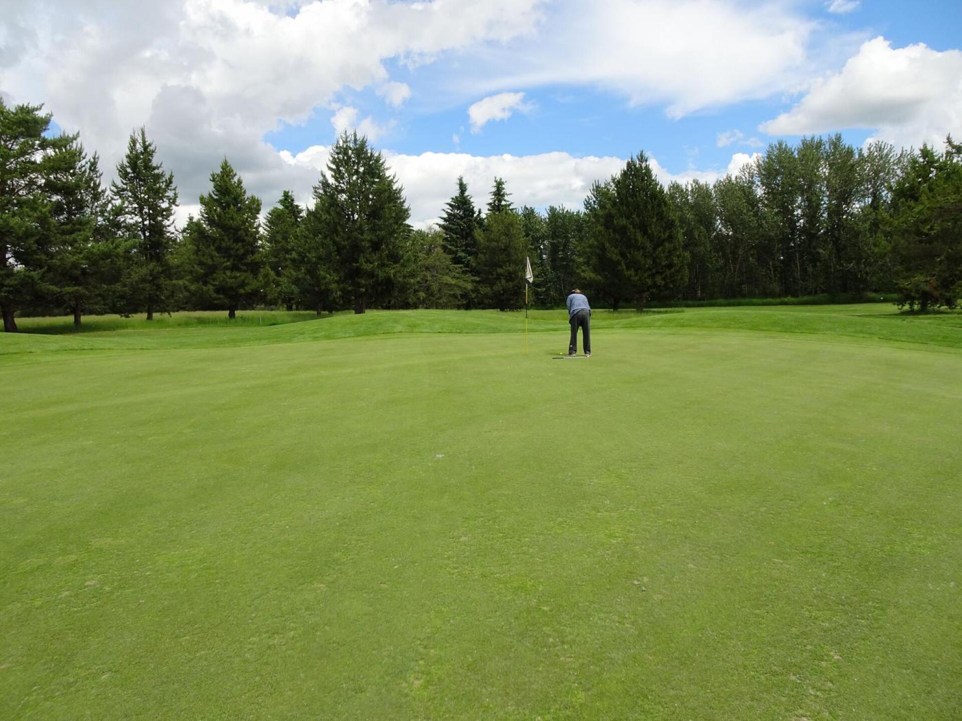 6th Green (Photo submitted by JFStahl on 06/25/2020)