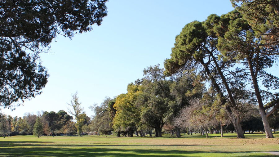 Modesto GC: #1