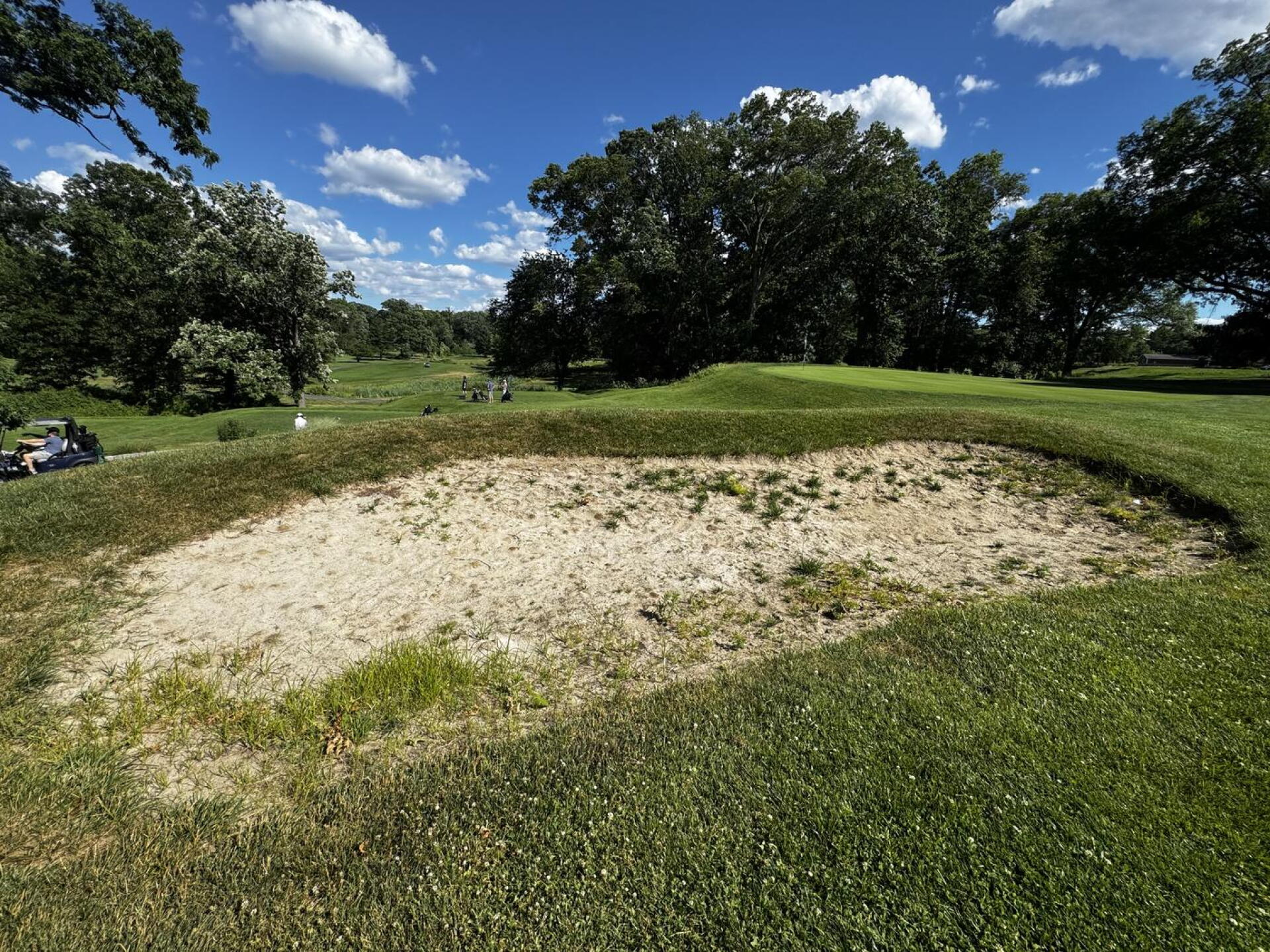 Greenside bunker, 15th hole.  Really? (Photo submitted by DavidVernonLustig on 06/20/2026)