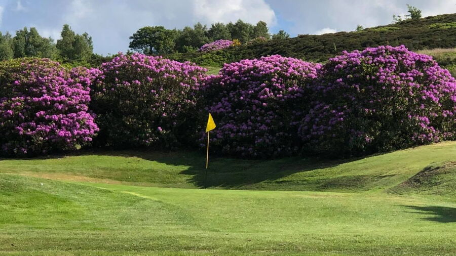 Stocksbridge & District GC