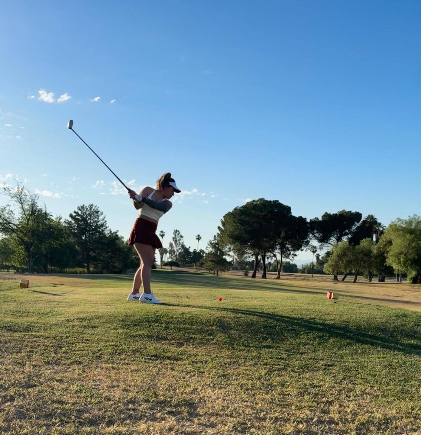 (Photo submitted by WhiteRose11 on 06/26/2024)