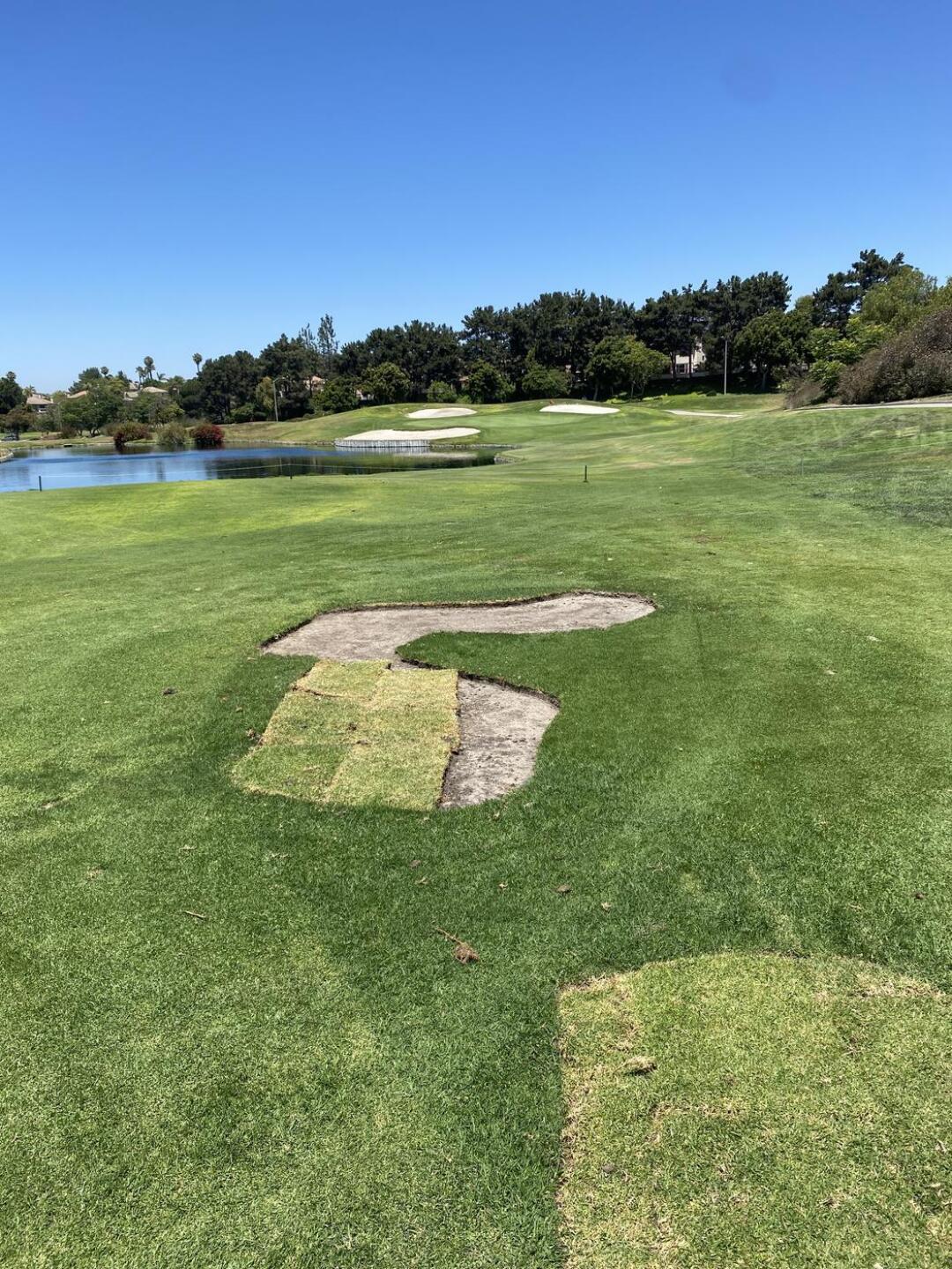 (Photo submitted by ChipPuttman on 08/02/2025)