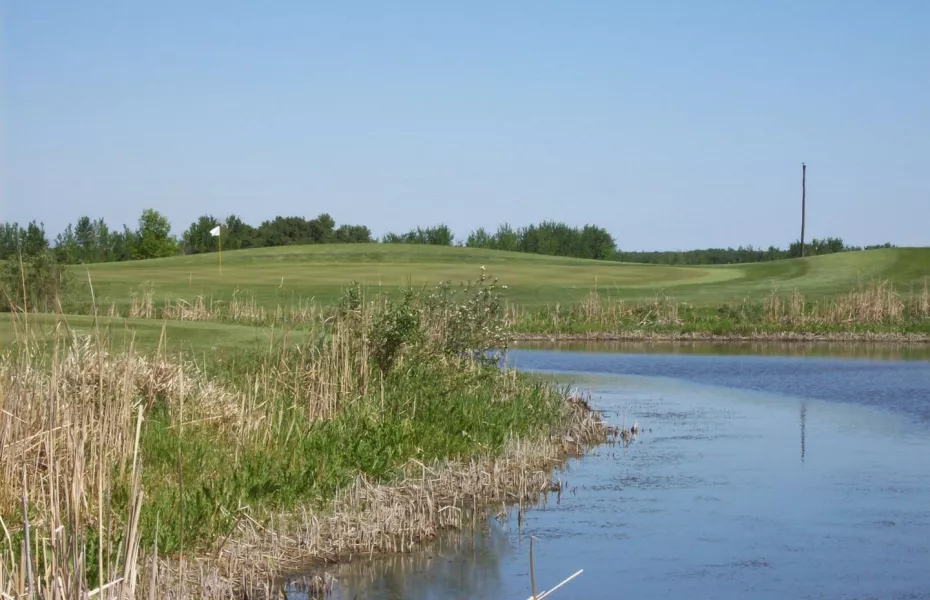 Netley Creek GCC: #7