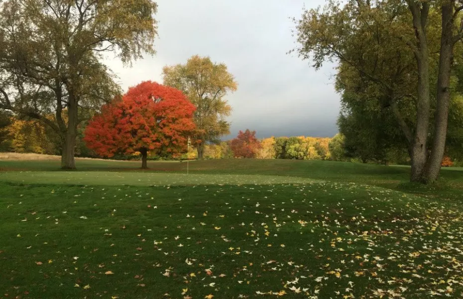 Limberlost GC