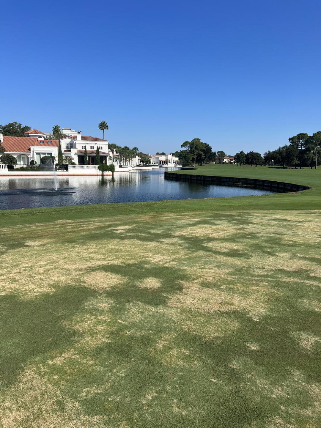 Yes that is the green. (Photo submitted by 46ObY6W4BoIYFkHCt7WH on 09/24/2024)