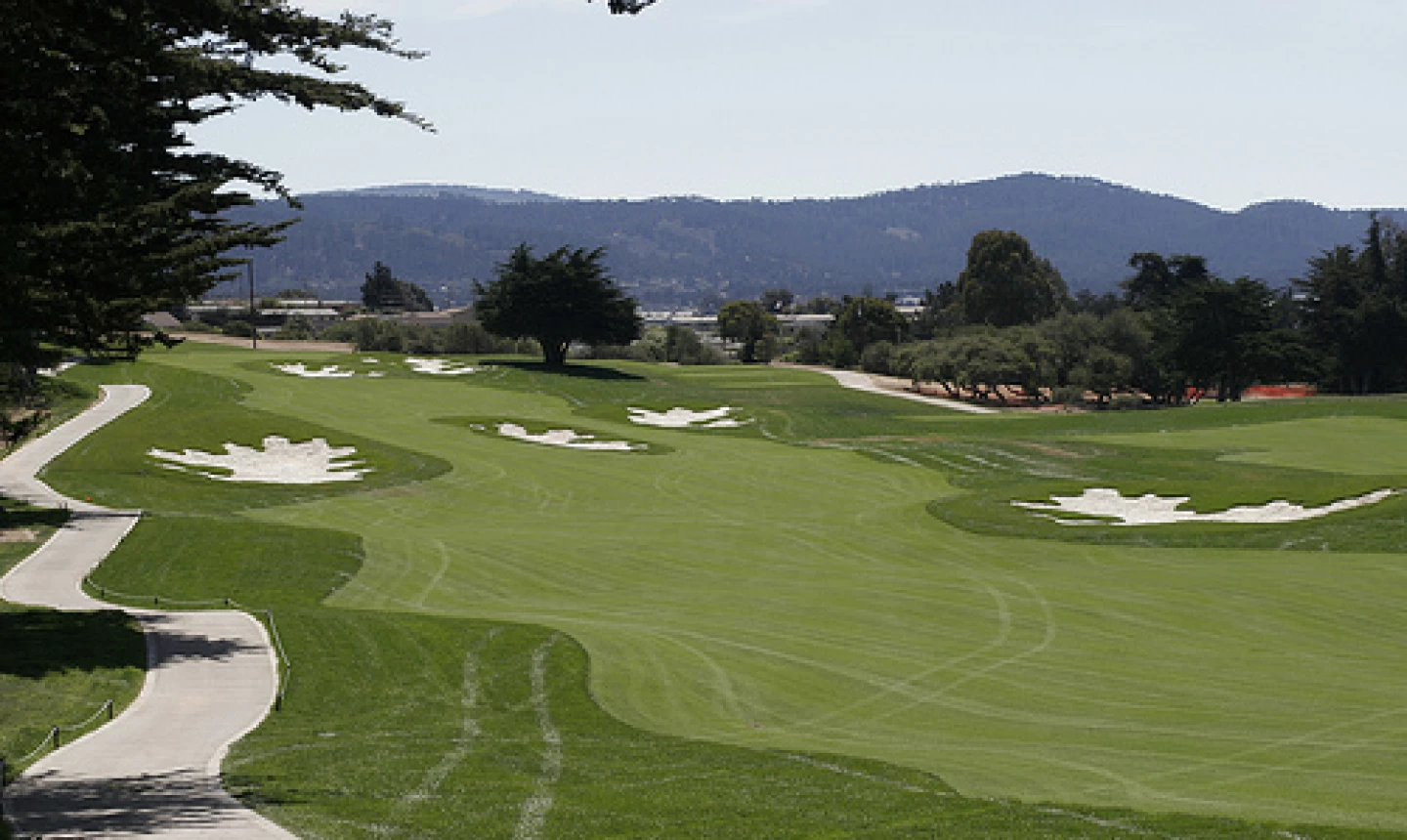 Black Horse G.C. - 8th hole