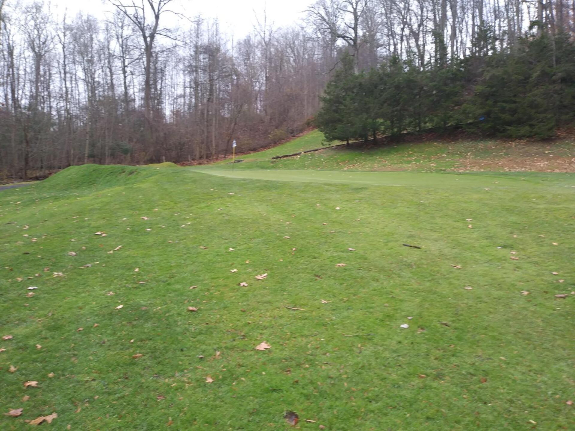 Green contouring at 4th. (Photo submitted by AptlyLinked on 11/23/2019)
