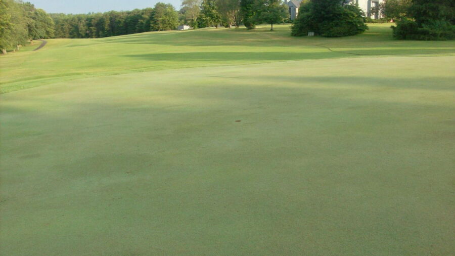 Mallard Head CC