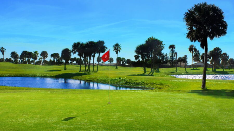 Ocean Palm GC: #8