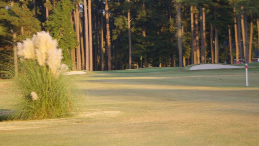 Stumpy Lake Golf Course - no. 9