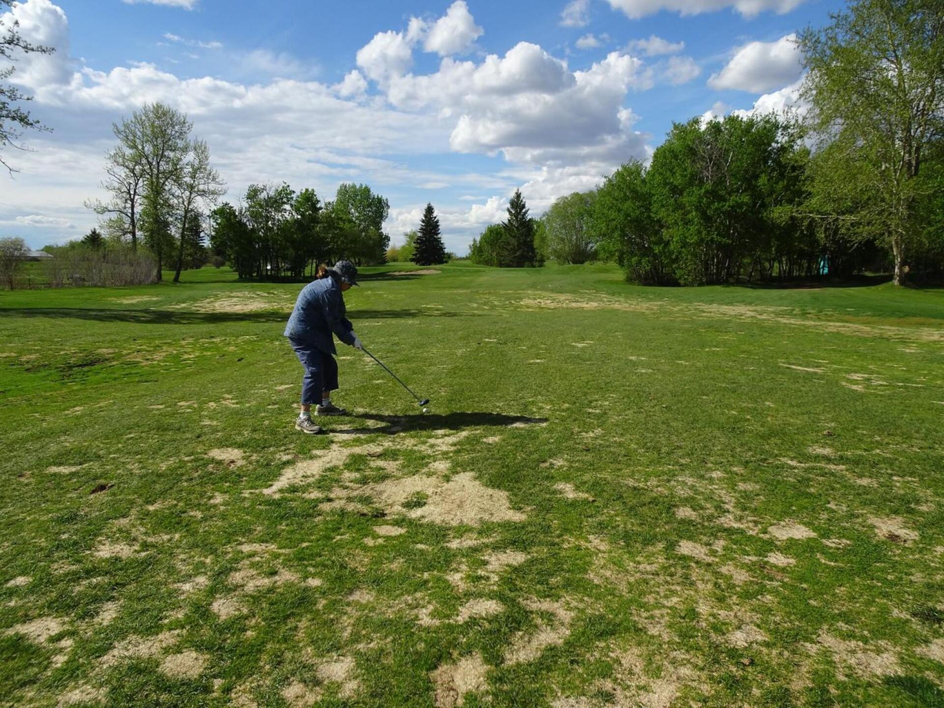 (Photo submitted by JFStahl on 05/25/2020)